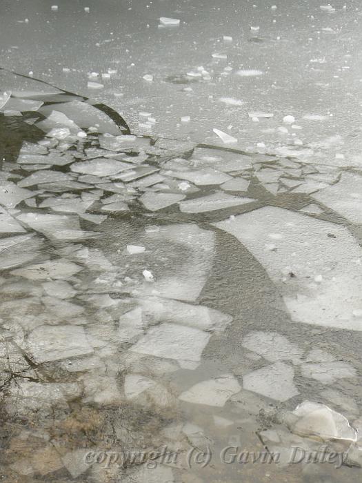 Ice patterns, Winter, Hampstead Heath P1070448.JPG